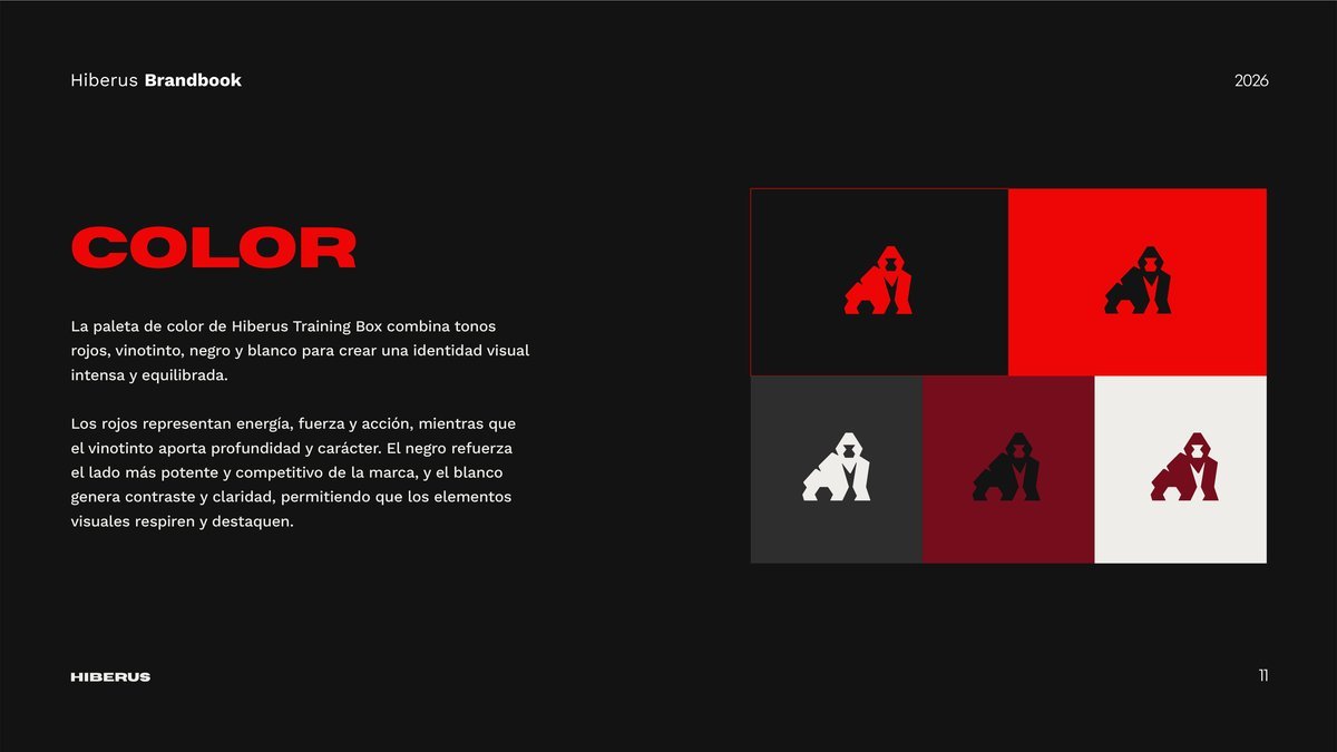 Hiberus Box – Color Combinations