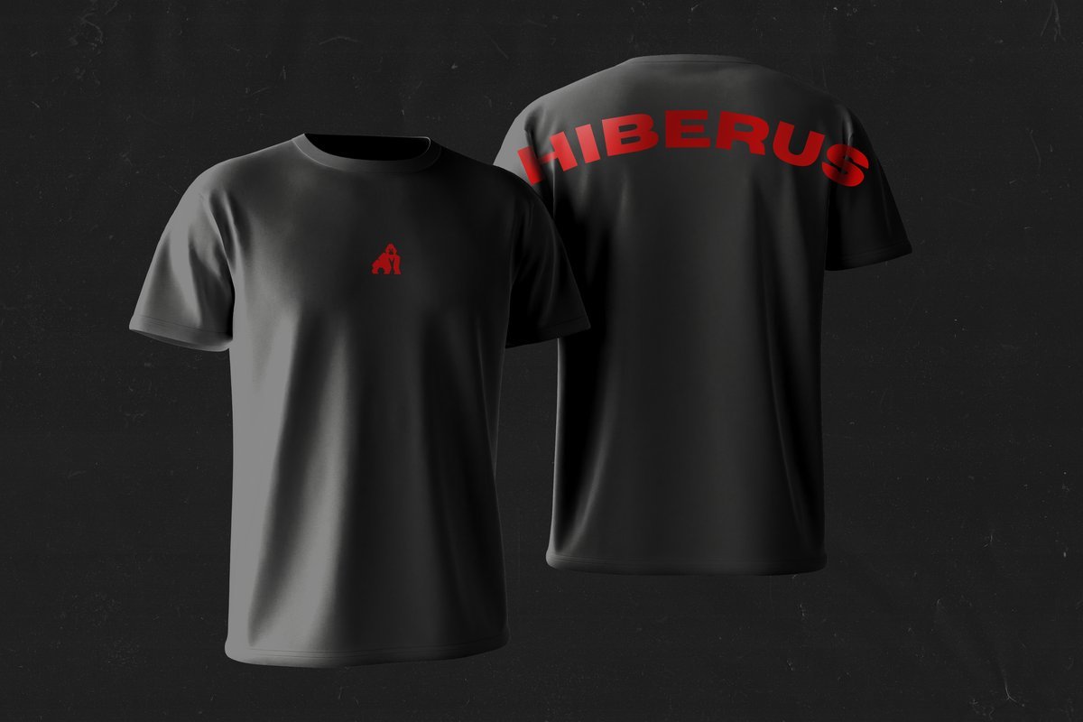 Hiberus Box – T-shirt Modelo 1