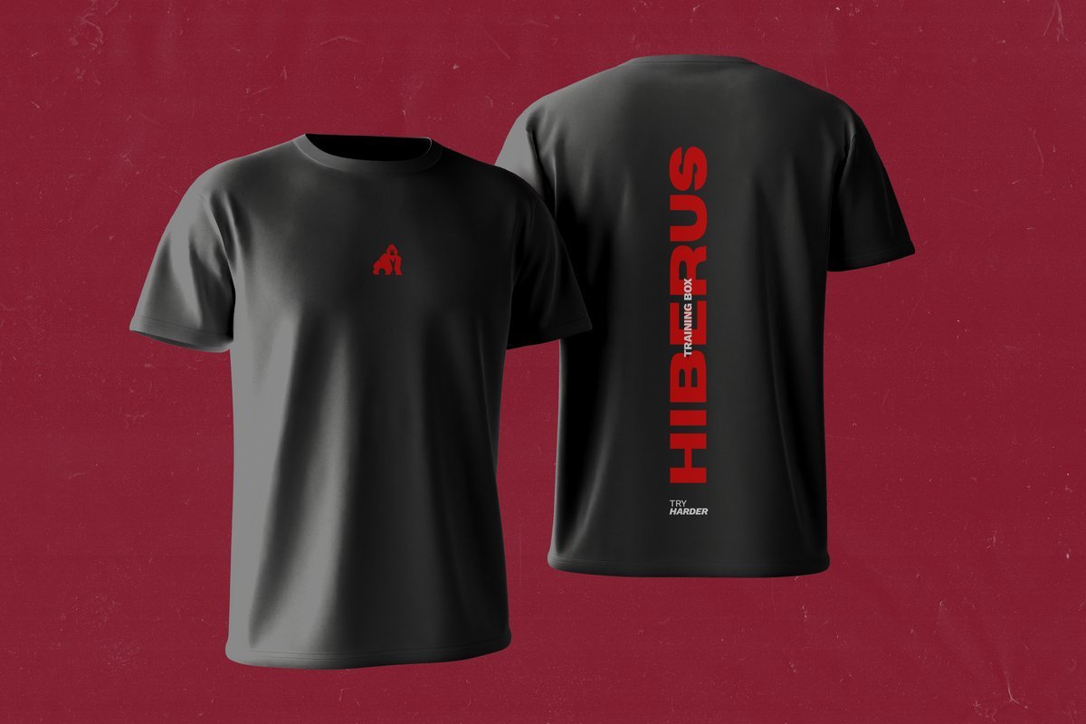Hiberus Box – T-shirt Modelo 2